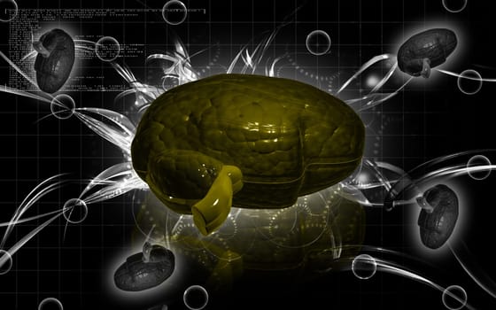 Digital illustration of brain in colour background