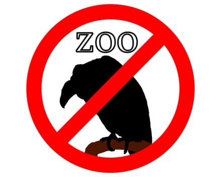 Vultures banned in the zoo