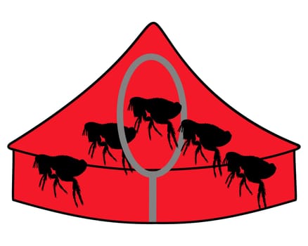 Flea Circus