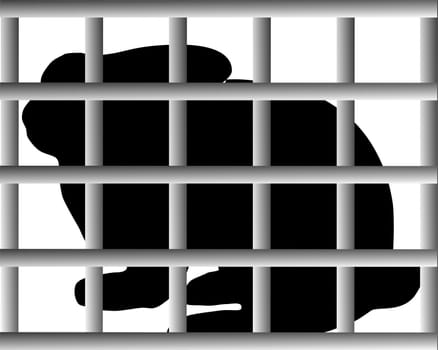 Rabbit hutch
