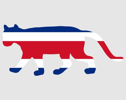 Puma Costa Rica
