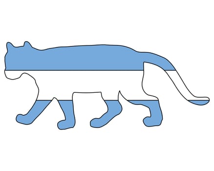 Puma Argentina