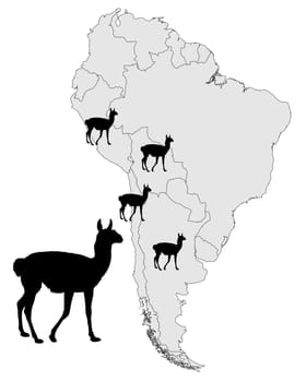 Guanaco Distribution