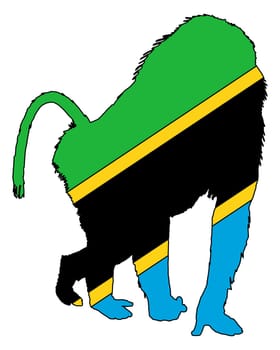 Baboon Tanzania
