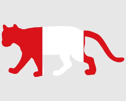 Puma Peru
