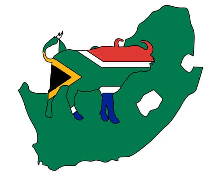 South Africa Buffalo