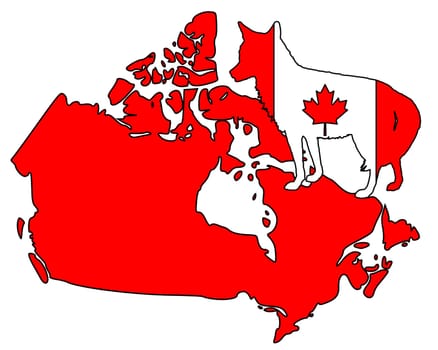 Coyote Canada