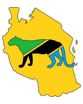 Tanzania Leopard