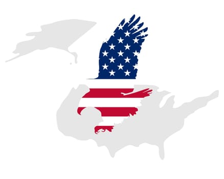 American bald eagle