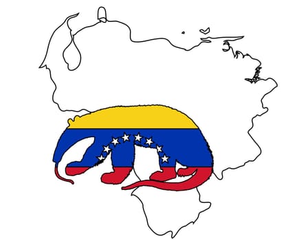 Anteater Venezuela