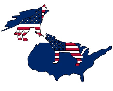American Wolves
