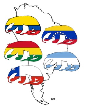 Anteater South America