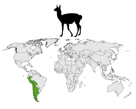 Guanaco Distribution