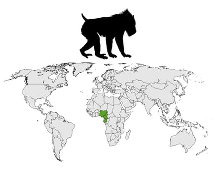 Mandrill distribution map
