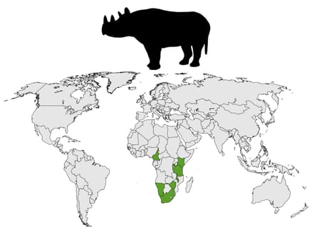 Black rhinoceros distribution