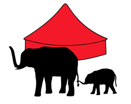Elephant Circus