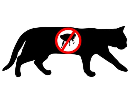 Cat flea prohibited