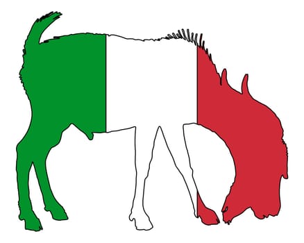 Italian billy goat