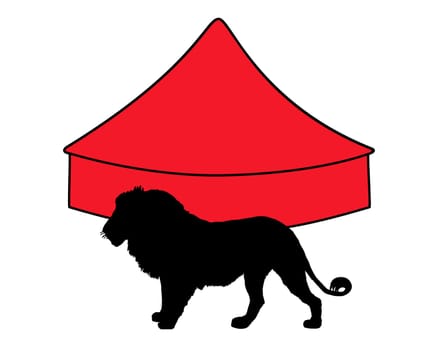 Lion in the circus