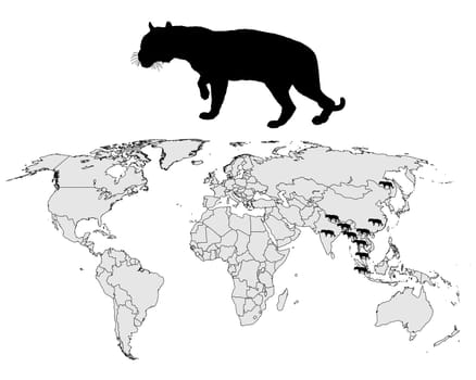 Tiger Distribution Map