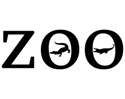 Zoo Animals