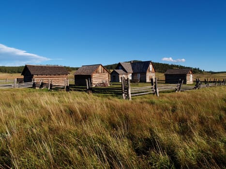 Adeline Hornbek, homestead, farm, log house, log barn, log shed, tall grass, wood fence, log fence, board fence, clear blue sky, landscape, prairie, horizontal, traditional culture, Colorado, USA, west, western, wild west, out west, remote, grassland, pan