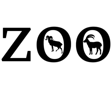 Zoo Animals