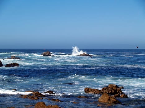 A large wave splashing with sea gulls flying overhead in a beautiful clear blue sky along a rocky coast south of Santa Barbara, California