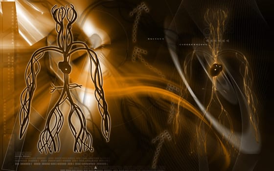 Digital illustration of vascular system in colour background