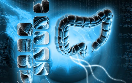 Digital illustration of large intestine in colour background