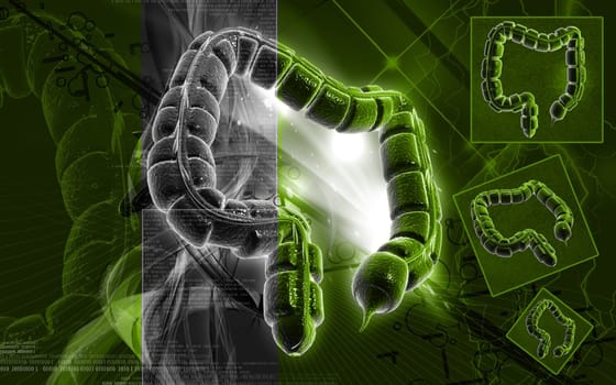 Digital illustration of large intestine in colour background