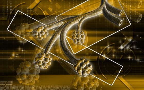 Digital illustration of alveoli in colour background