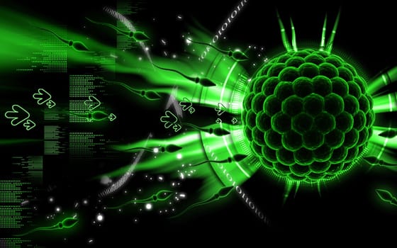 Digital illustration of Sperm and Egg in colour background