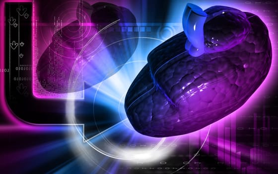 Digital illustration of brain in colour background