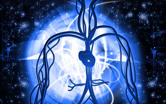 Digital illustration of vascular system in colour background