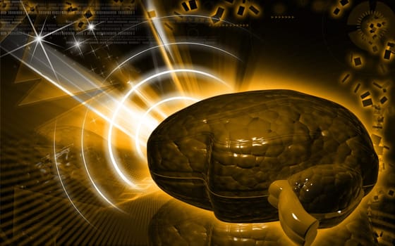 Digital illustration of brain in colour background