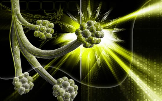 Digital illustration of alveoli in colour background