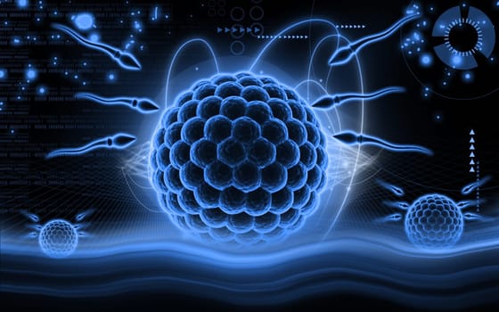 Digital illustration of Sperm and Egg in colour background