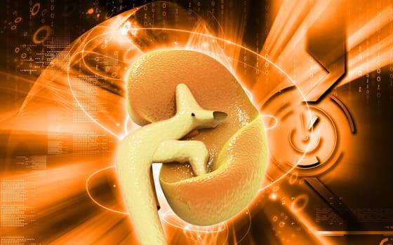 Digital illustration of kidney in colour background