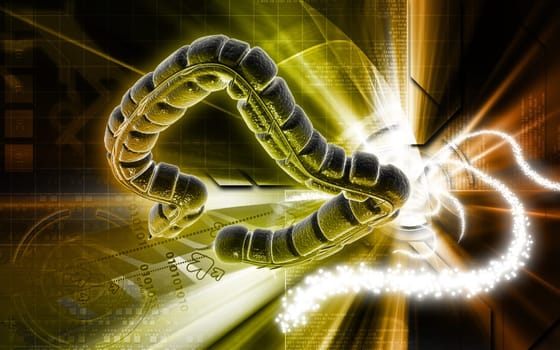 Digital illustration of large intestine in colour background