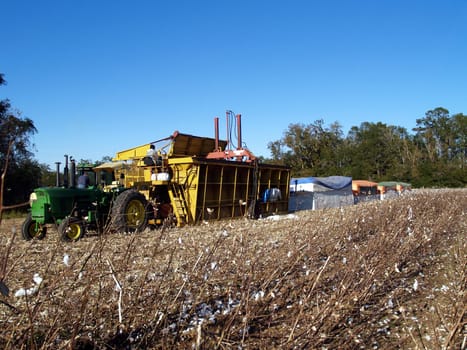 Work site on a farm complete with modules, module builder, boll buggy and tractor.