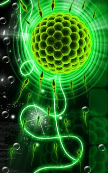 Digital illustration of Sperm and Egg in colour background