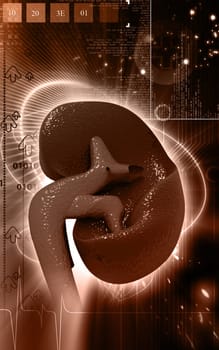 Digital illustration of kidney in colour background