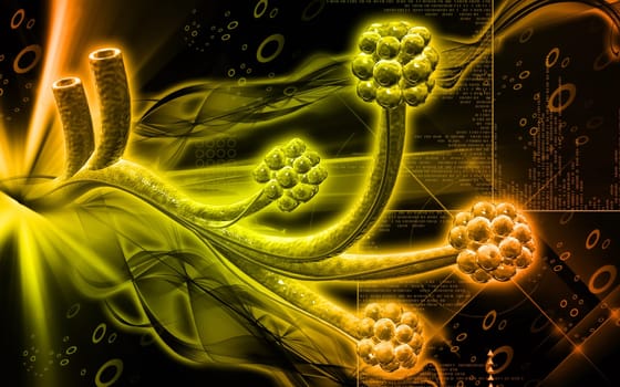 Digital illustration of alveoli in colour background