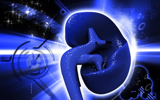 Digital illustration of kidney in colour background