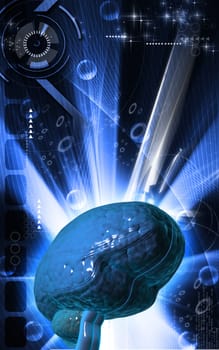 Digital illustration of brain in colour background