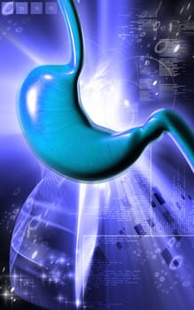 Digital illustration of stomach in colour background