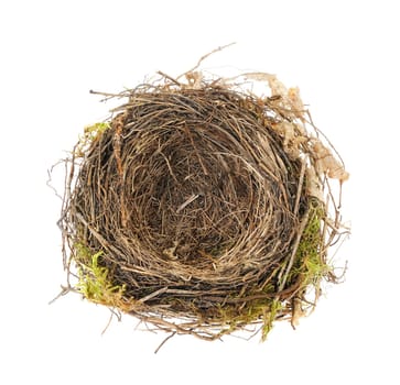 Detail of blackbird nest isolated on white