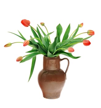 Red tulips in old fashioned jug isolated on white background