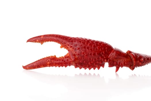 crayfish cooked in the dish served on ice